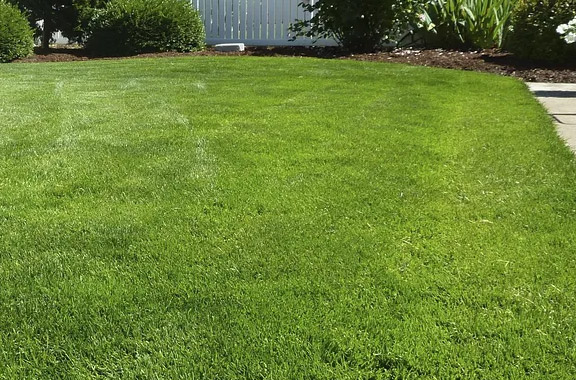 backyard with fresh lawn after the fill and compaction done by our pros